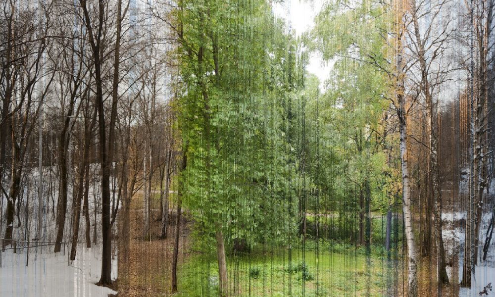 Photographer Visualizes One Year in a Single Picture - Chartistry