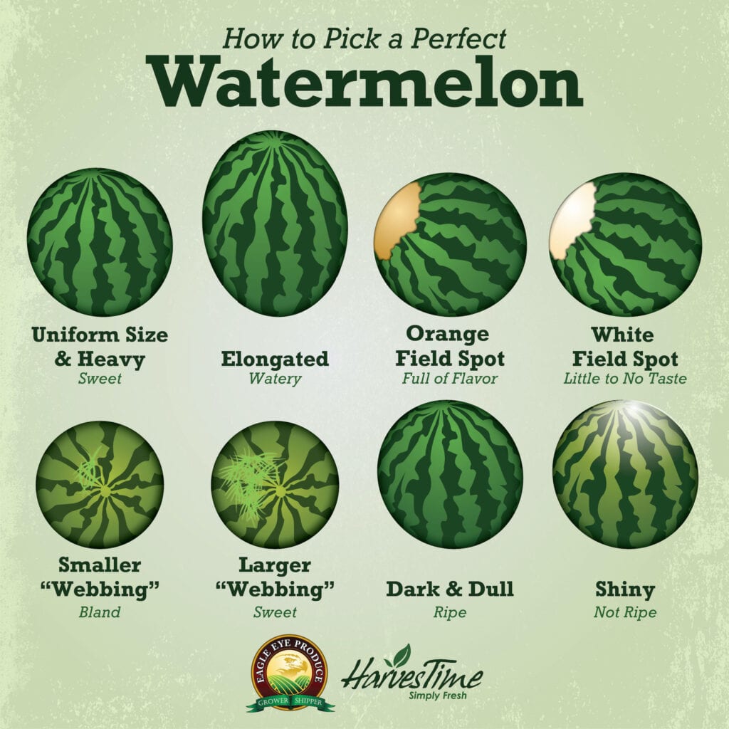 how-to-pick-perfect-watermelon-chartistry