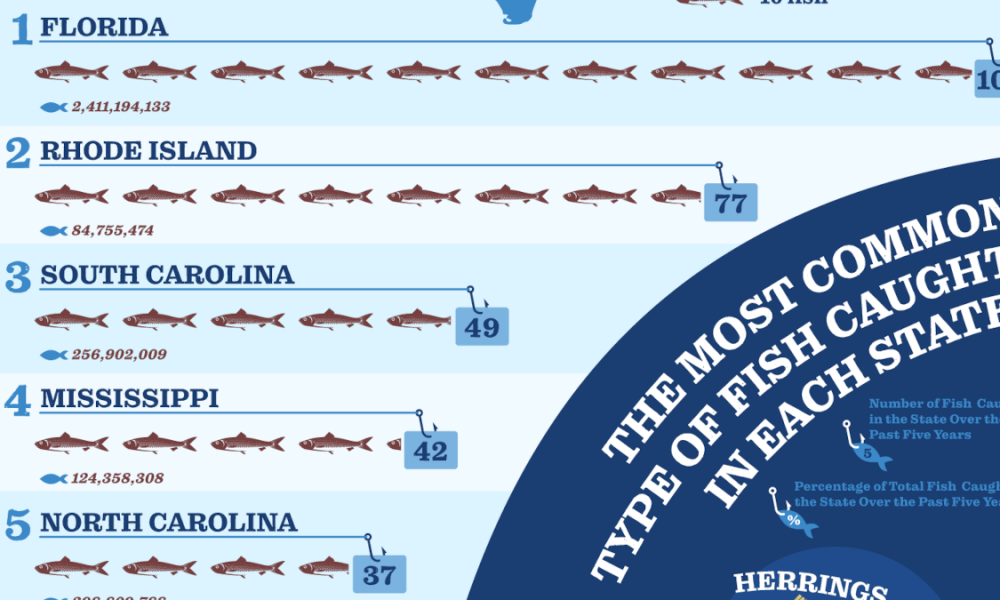 The Coastal States With the Highest Per-Capita Fish Catches - Chartistry